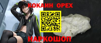 молекула духа Кингисепп