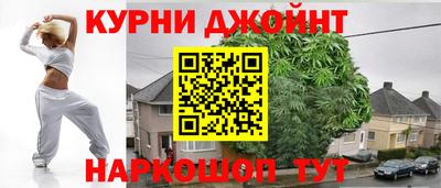 молекула духа Кингисепп