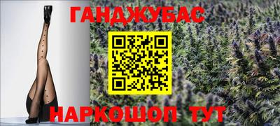 молекула духа Кингисепп