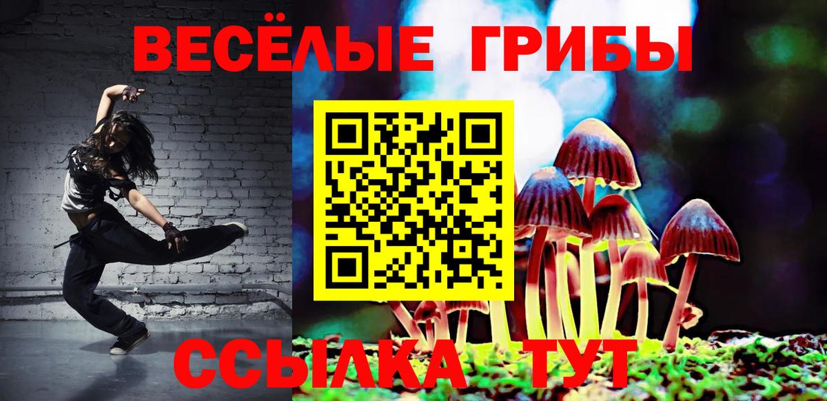 Скопин  Псилоцибиновые грибы Psilocybe  Вход с VPN 