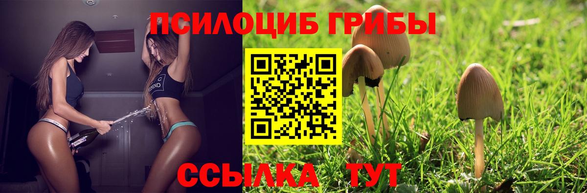 Галлюциногенные грибы Psilocybine cubensis Скопин